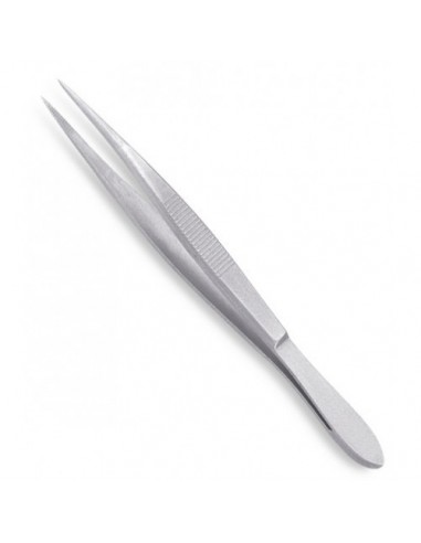 enseta gene Vetus ST 16