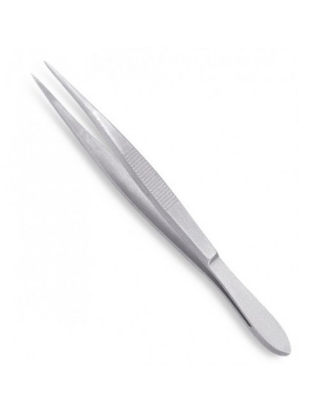 enseta gene Vetus ST 16