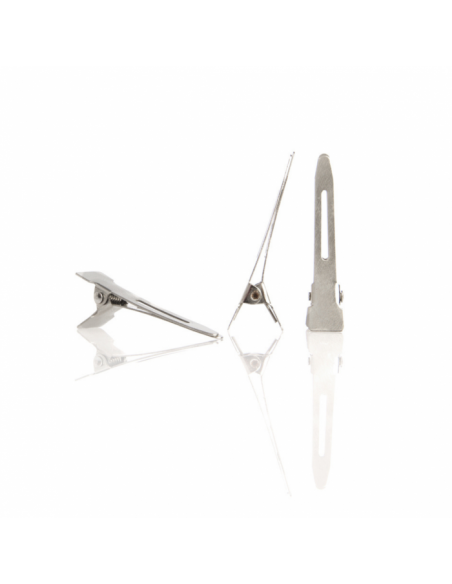 Set 100 clipsuri metalice mici